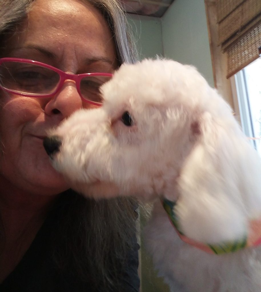 About Us Lori’s Dog Grooming